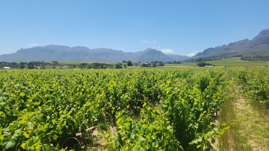 Commercial Property for Sale in Stellenbosch Farms Western Cape